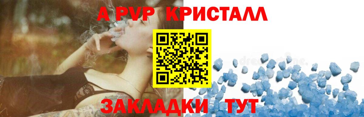 A PVP СК КРИС Муравленко