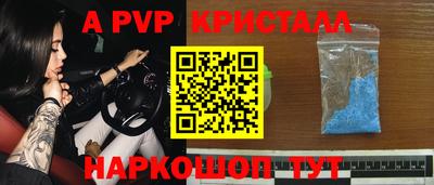 кокс Гатчина