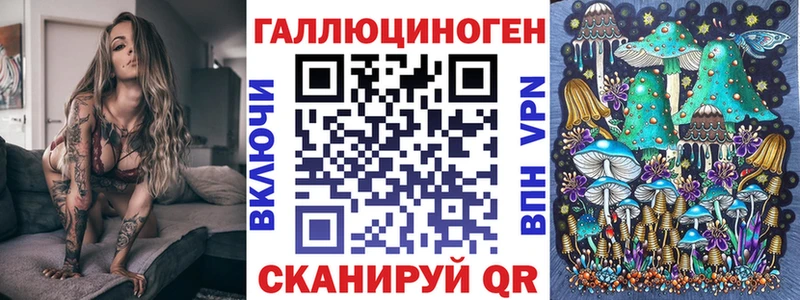 где купить   Муравленко  Псилоцибиновые грибы GOLDEN TEACHER 