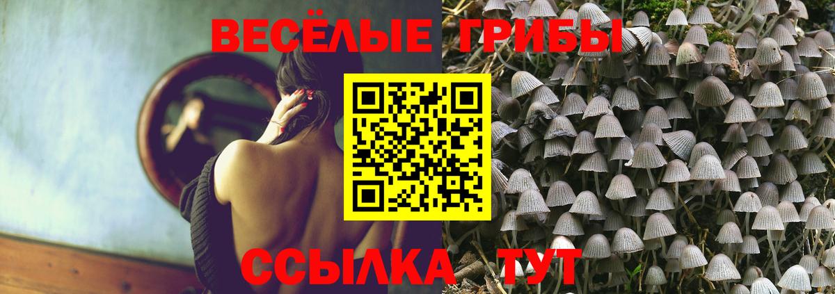 Псилоцибиновые грибы GOLDEN TEACHER  Вход с VPN  Муравленко 